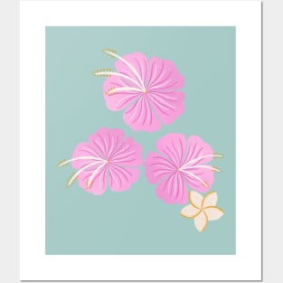 Pink hibiscus flowers Posters and Art